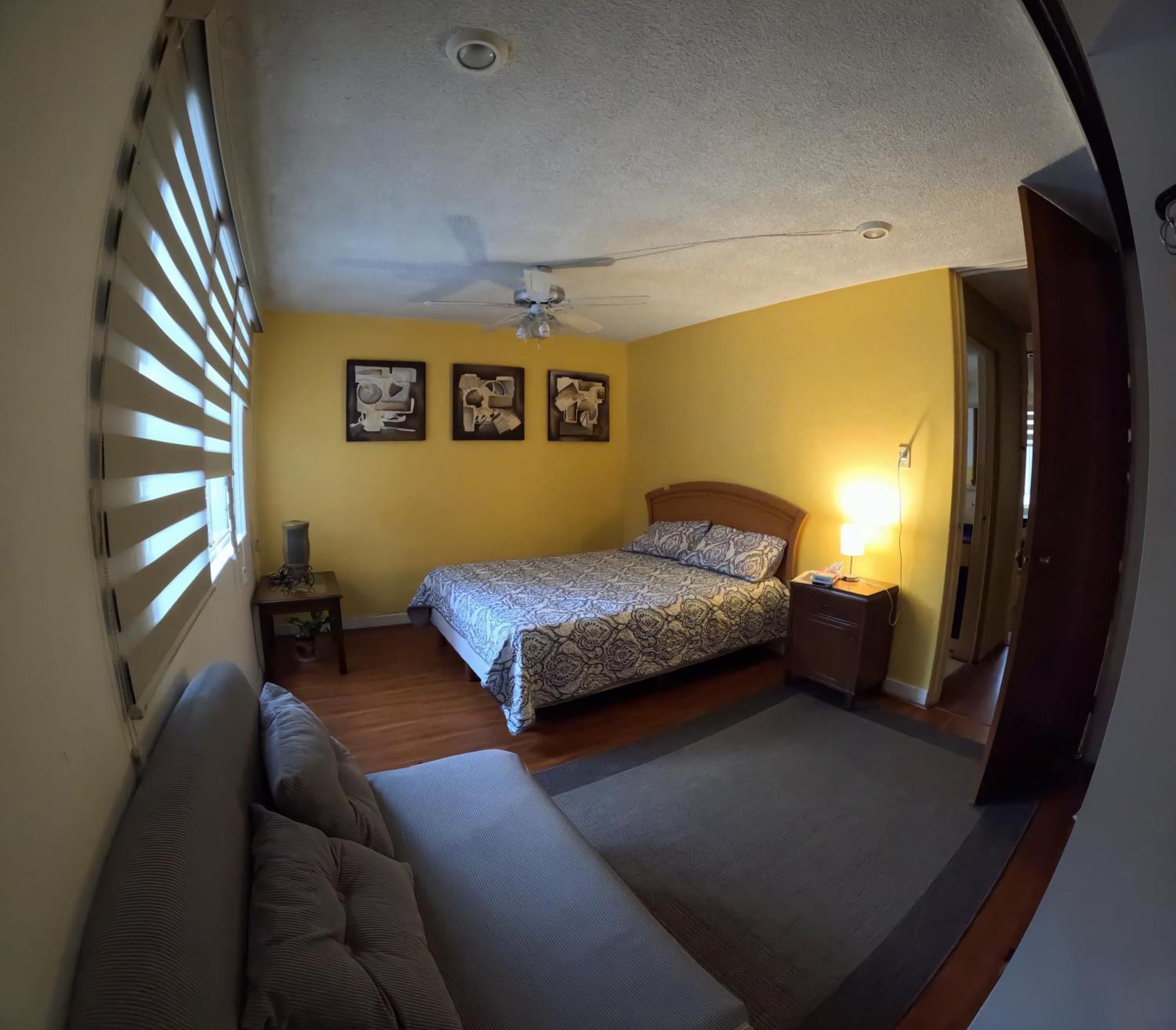 Neighbor Of Frida Khalo, Vintage Stay In Coyoacan Meksika Dış mekan fotoğraf