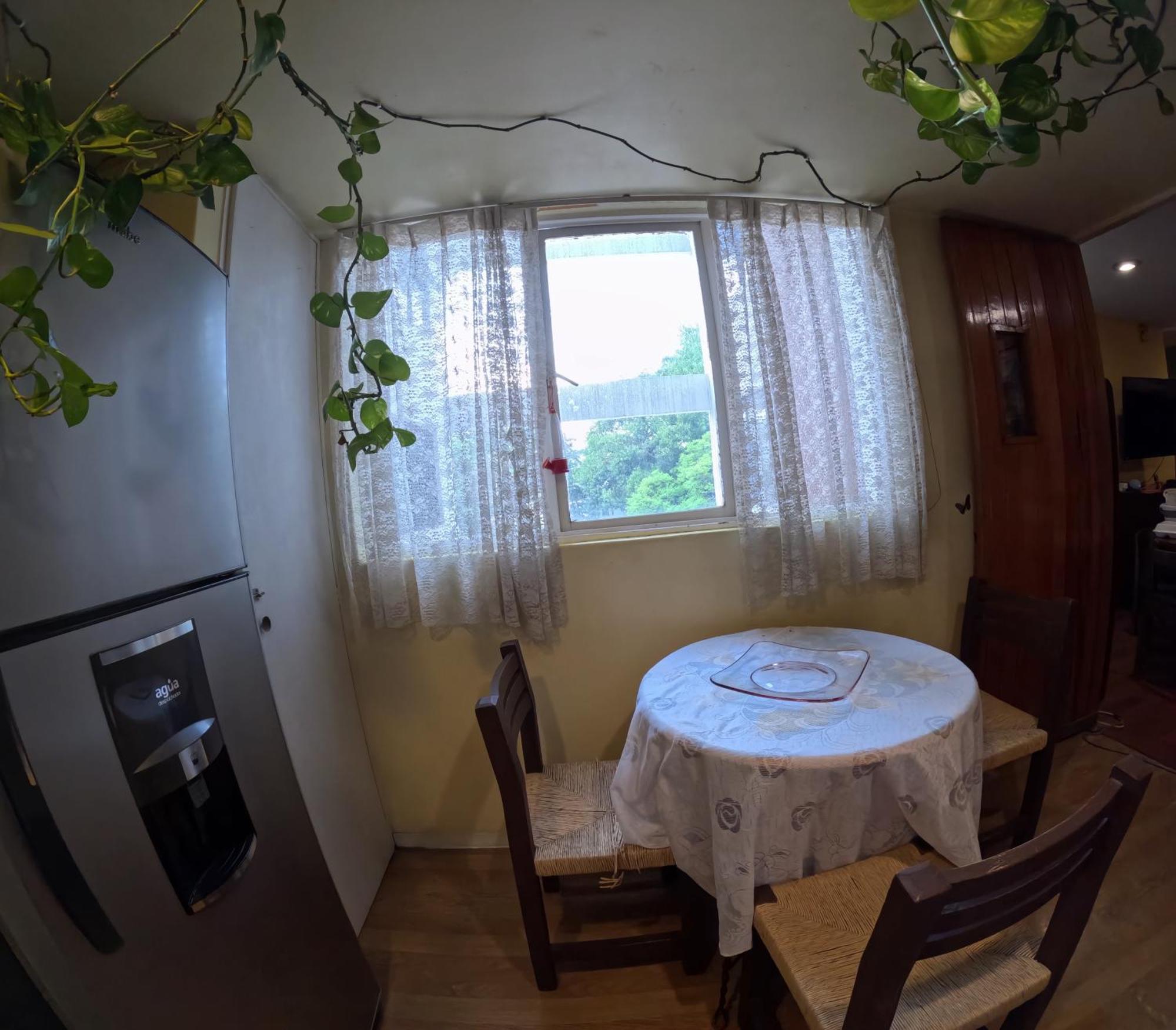 Neighbor Of Frida Khalo, Vintage Stay In Coyoacan Meksika Dış mekan fotoğraf
